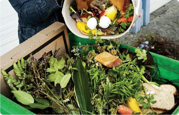 Great Basin Food Co Op