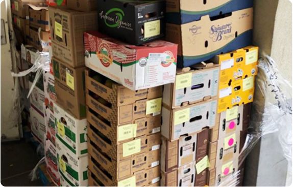 Great Basin Food Co Op