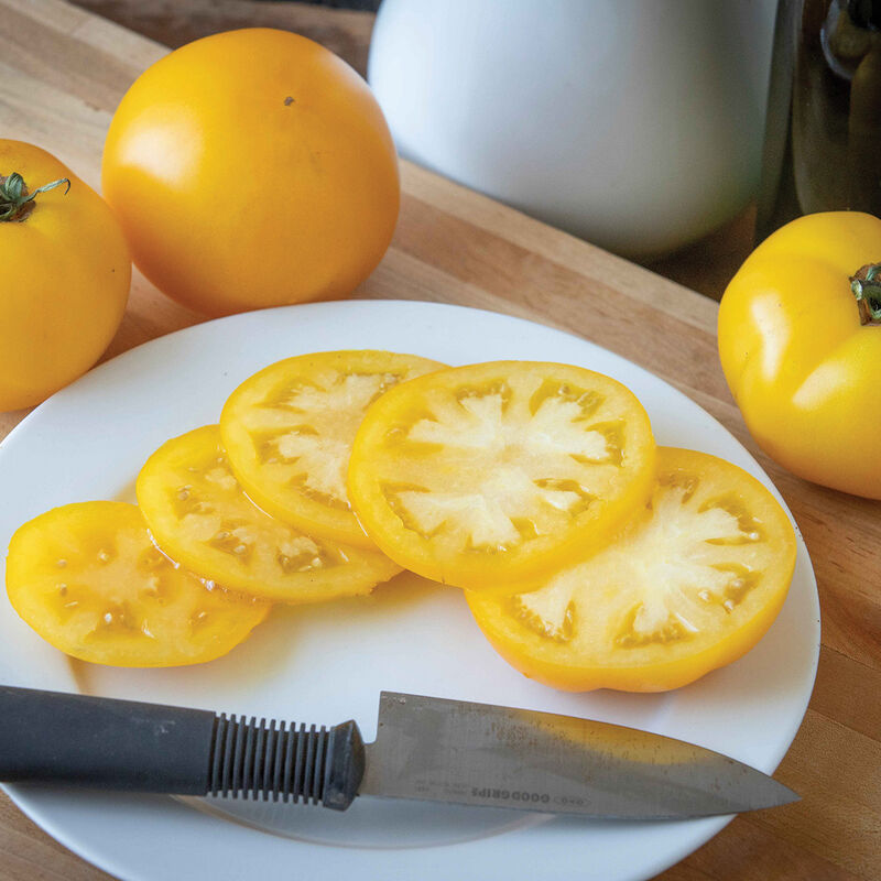 NEVADAS OWN, TOMATO, LEMON BOX, 3", OMRI